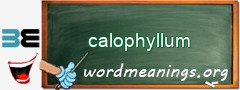 WordMeaning blackboard for calophyllum